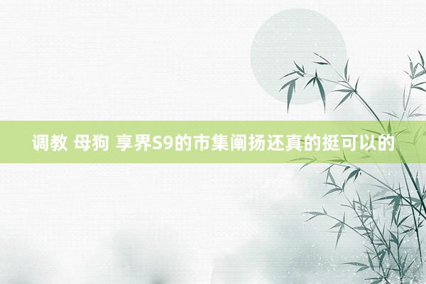 调教 母狗 享界S9的市集阐扬还真的挺可以的