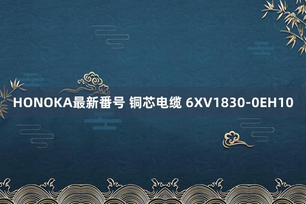 HONOKA最新番号 铜芯电缆 6XV1830-0EH10