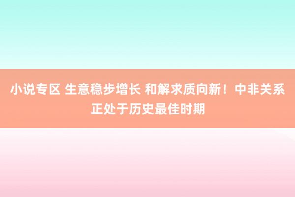 小说专区 生意稳步增长 和解求质向新！中非关系正处于历史最佳时期