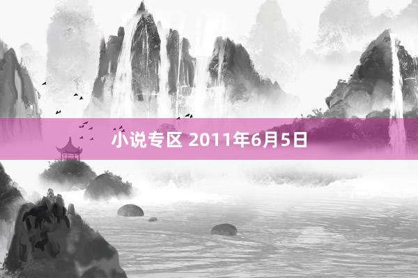 小说专区 2011年6月5日