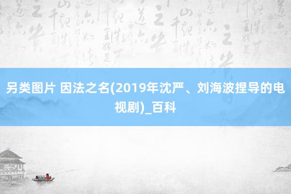 另类图片 因法之名(2019年沈严、刘海波捏导的电视剧)_百科