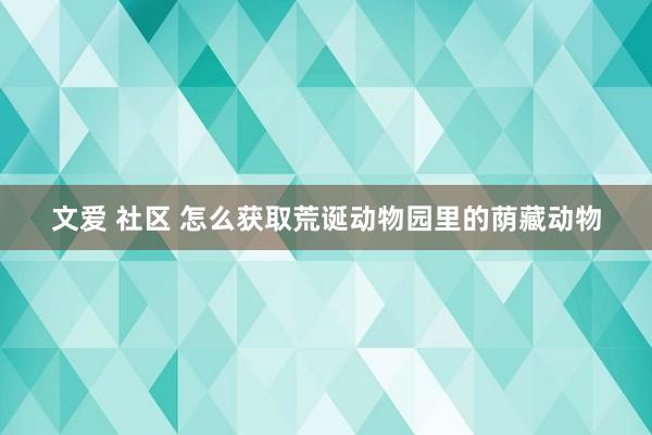 文爱 社区 怎么获取荒诞动物园里的荫藏动物